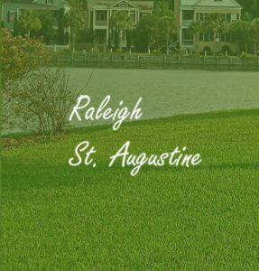 Travis Resmondo Florida Raleigh St Augustine