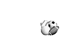 Travis Resmondo Florida Tifsport Logo
